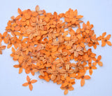 Light Orange Pressed Flowers Organic DIY floral arts Resin Materials Hand crafts Dried Flower