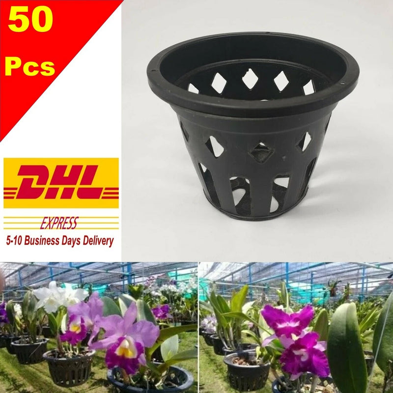 50x4" Plastic Pot Baskets Orchid Flower Floral Garden Home Plants Outdoor Thai Garden Plants