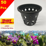 50x4" Plastic Pot Baskets Orchid Flower Floral Garden Home Plants Outdoor Thai Garden Plants