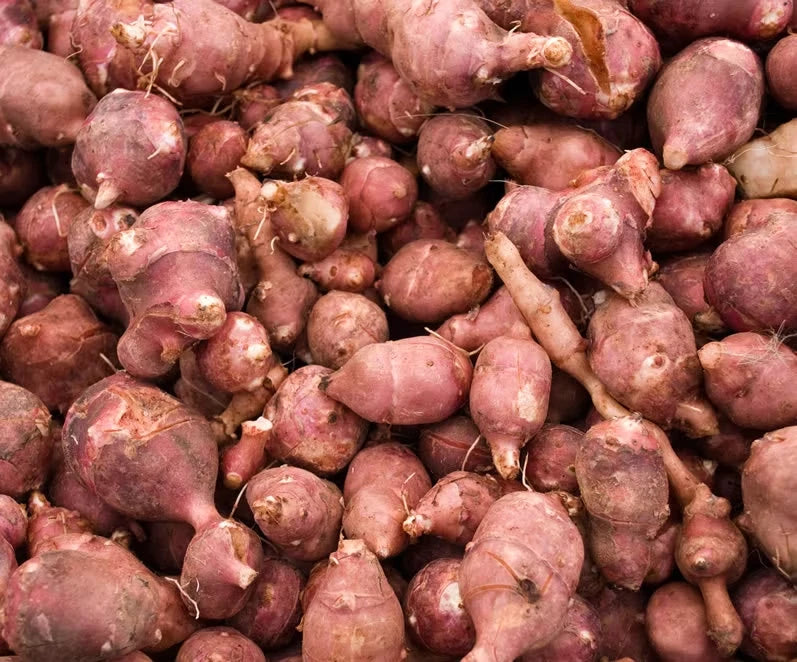 1 LB Reds - Hardy Red Fuseau Variety - Jerusalem Artichoke - Organic Sunchoke Garden Plants