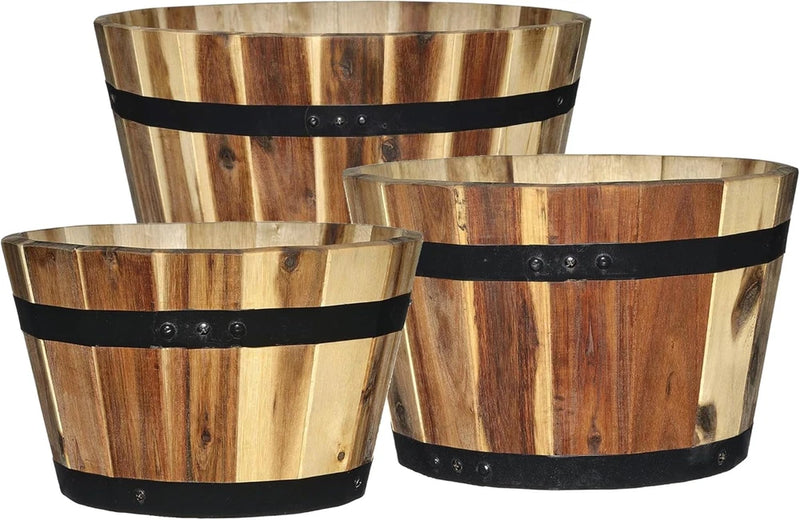 Set of 3 acacia wood barrel planters with black metal hoops in three sizes