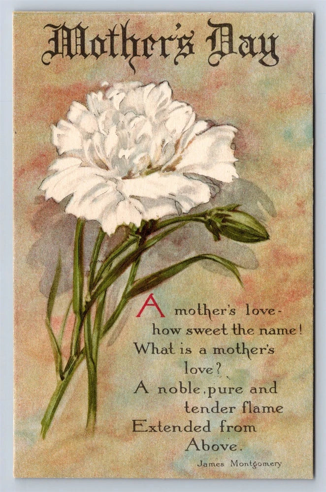 Postcard Mothers Day White Carnation Flower Verse Orrstown PA 1910s AW18 Carnation