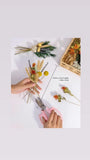 DIY Natural Dried Flower Set, Bulk Dried Flowers for Vase, Dried Flowers with St Dried Flower