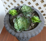 2 Big 2 Mini Snow Lotus Plastic Artificial Grass Succulents Plants Green Plant