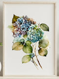 Floral Art Print, Hydrangea Floral Wall Art Print, Botanical Wall Art Decor #53 Hydrangea