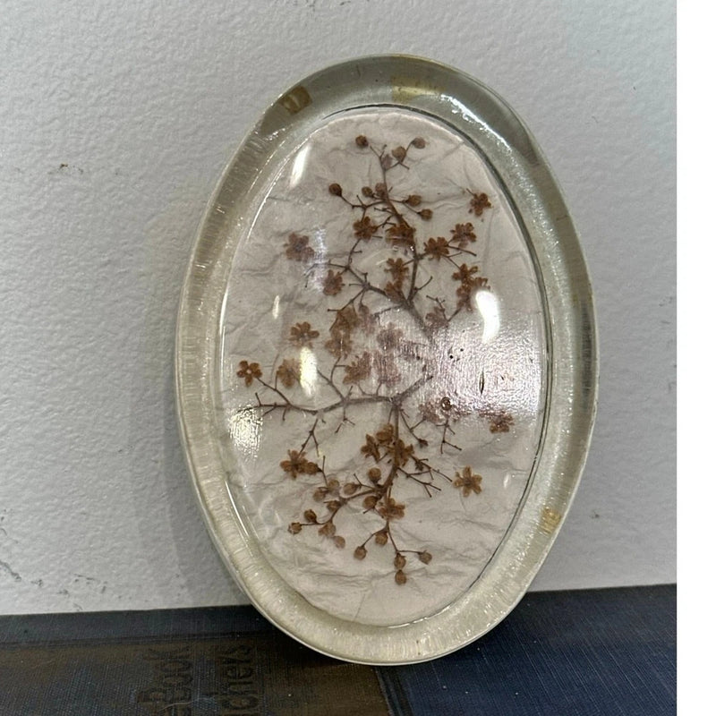 Vintage Glass Pressed Flowers Wild Hydrangea Paper Weigh 2004 Hydrangea