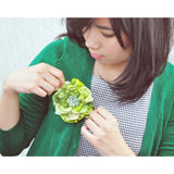 Luculia Corsage GS-25C Corsage pin and Artificial flower Fashion Free Shipping Bouquet