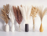 110 PCS Dried Pampas Grass Bouquet, Brown & White Bunny Tails for Decor Pampas Grass