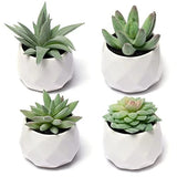 Fake Succulent Plant Set - Artificial Succulent Plants for Desk Rustic Green Green Plant