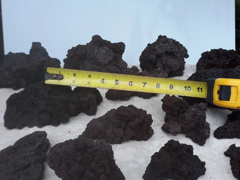 Dark lava rocks for bonsai root-over-rock, shown with measuring tape