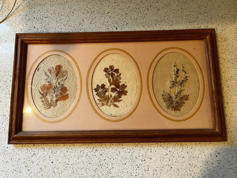 Framed pressed dried wildflower art with three oval flower arrangements