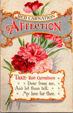 Floral Red Carnation Means Affection Foil Accents c1919 Vintage Postcard B32 Carnation