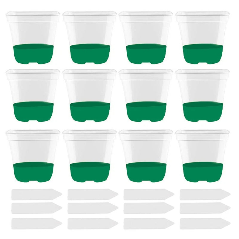Transparent Plant Pots 12 Pieces with Drain Holes and Labels for Garden Use Garden Plants