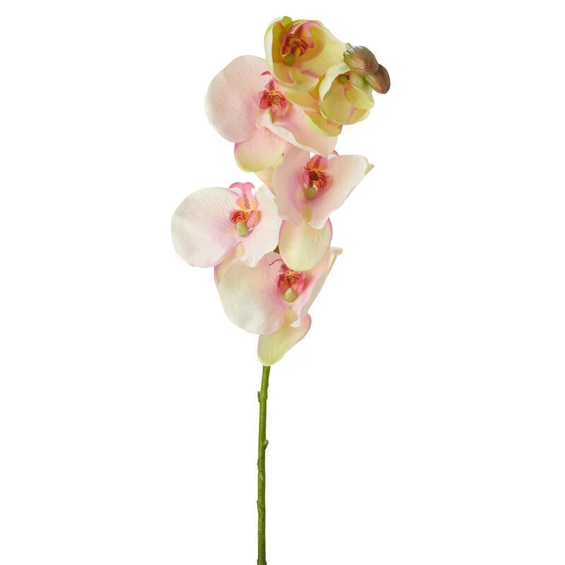 Artificial pink poly silk moth orchid stem with multiple soft-petal blooms, 32 in