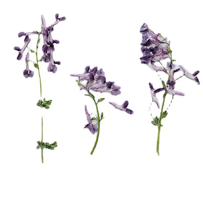 Dried pressed purple flowers set with leaves and stems