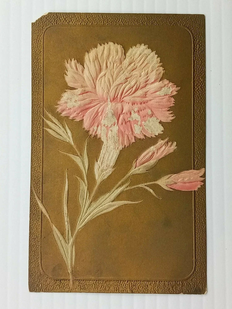 Vintage Postcard 1911 Carnation Flower with Gold Background Embossed Carnation