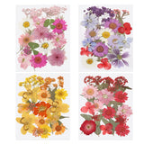 80 Pcs Dried Pressed Flower Leaves Bulk for Resin, Pink Purple Red Yellow Dried Flower