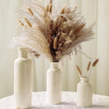 Pampas Grass with Vase Set Ð 3 Beige White Ceramic Vases with Natural Drie Pampas Grass