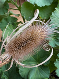 10 Dried Teasel Stems Natural Thistle Dried teazle teazel Dried Flower