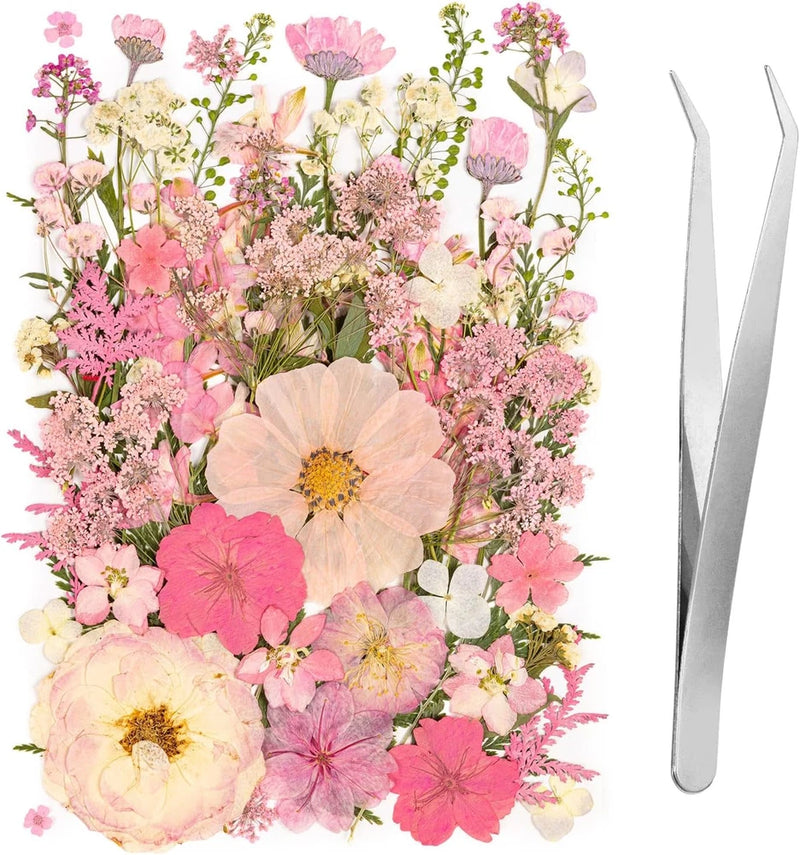 50Pcs Pink Pressed Dried Flowers Leaves for DIY Crafts and Scrapbooking Dried Flower