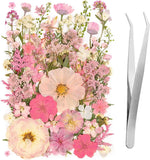 50Pcs Pink Pressed Dried Flowers Leaves for DIY Crafts and Scrapbooking Dried Flower