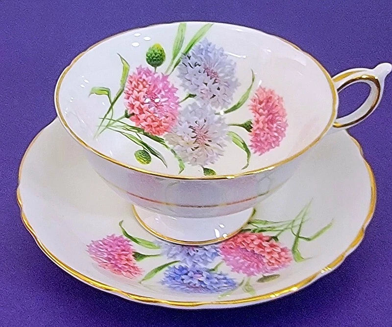 Paragon England Bone China Pink Blue Carnation Tea Cup & Saucer              748 Carnation