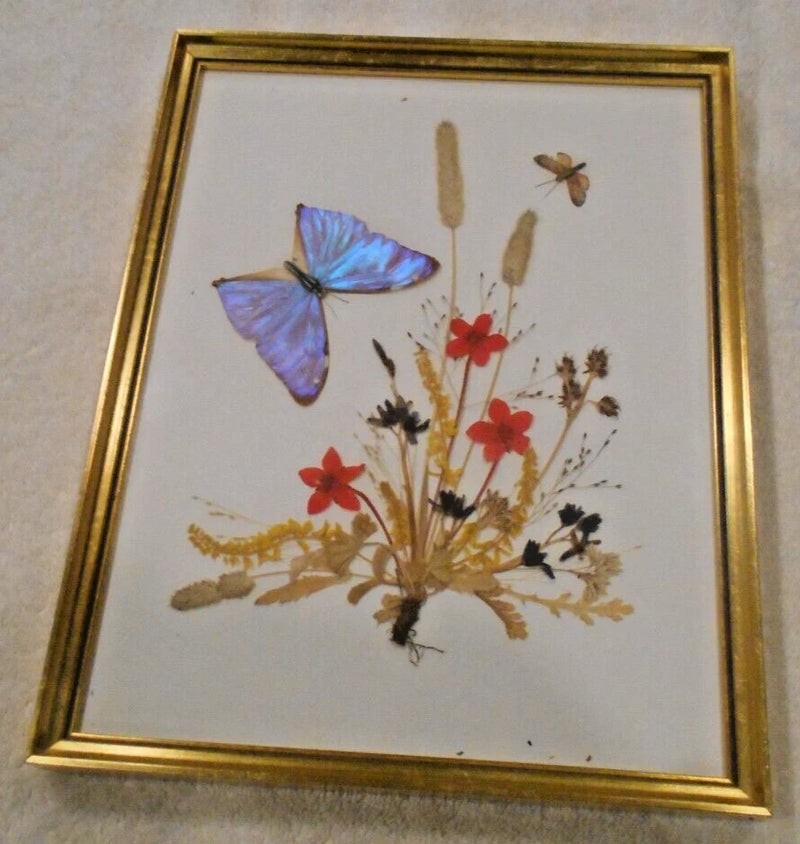 Gold-framed pressed flower and butterfly wall art with blue, red flowers and dried plants