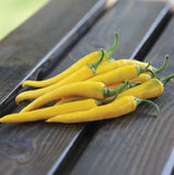 GOLDEN CAYENNE PEPPER SEEDS 50+ "YELLOW" SPICY vegetable GARDEN FREE SHIPPING Garden Plants