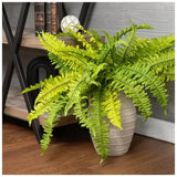 1 Bush Natural Look 23" x 29" Artificial Boston Fern Decorative Bush Green Plant
