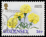 GUERNSEY 486 (SG572) - Garden Flowers "Standard Carnation" (pc31931) Carnation