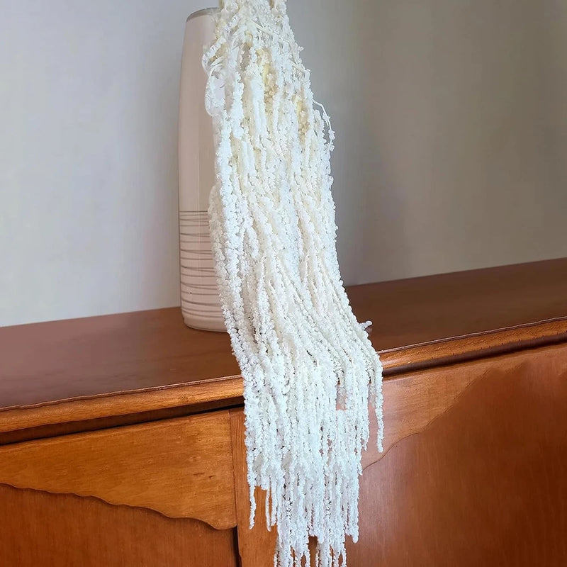7 Pcs White Dried Preserved Amaranthus Ð 23" Long Hanging & Cascading Flowers... Dried Flower