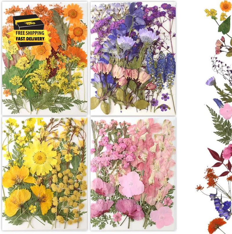 80Pcs Pressed Flowers, Dried Flowers Natural Pressed Flowers Bulk for Resin Mold Dried Flower