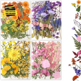 80Pcs Pressed Flowers, Dried Flowers Natural Pressed Flowers Bulk for Resin Mold Dried Flower
