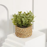 Green Artificial Plants Eucalyptus Grass Woven Small Potted Plants Grass Mound 1 Green Plant