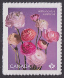 Canada 3375 Ranunculus Multiple P single (from booklet) MNH 2023 Ranunculus