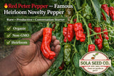 10 Rare Organic Red Peter Pepper Seeds Heirloom Hot Pepper Non-GMO Genuine USA Garden Plants