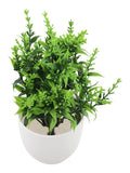Home Decor Small Lavender Eucalyptus Plant in Pot with Realistic Design Green Plant
