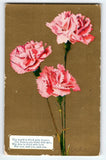 Vintage Pink Carnations Floral Postcard with Poem Series No. 68 Carnation