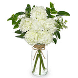 White Hydrangea Artificial Flowers in Clear Glass Vase with Faux Water Silk H... Hydrangea