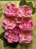 Ranunculus PINK - 8 Fabric Flowers + 6 Leaves 33-48mmAcross Botanica Pet L2b Ranunculus