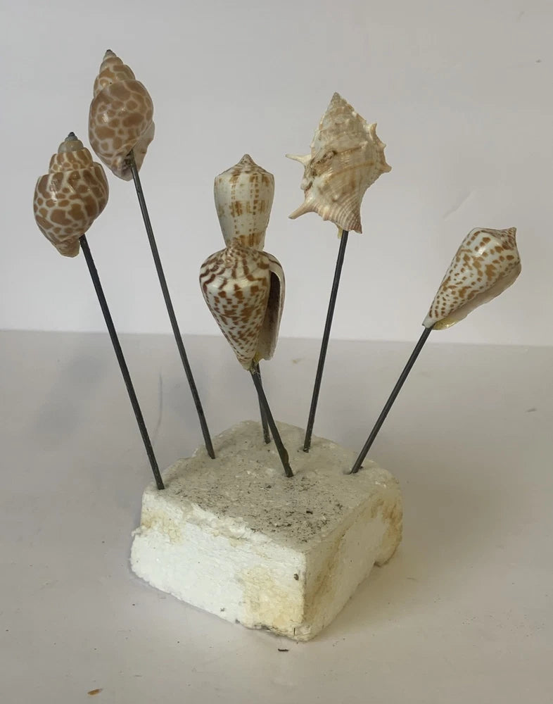 6 Seashell Bouquet Picks Beach Wedding Flower Inserts Floral Bouquet home decor Bouquet