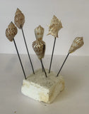 6 Seashell Bouquet Picks Beach Wedding Flower Inserts Floral Bouquet home decor Bouquet