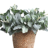 6 Pcs Artificial Dusty Miller Greenery, Green Faux Dusty Miller Bush Plant Fa... Green Plant