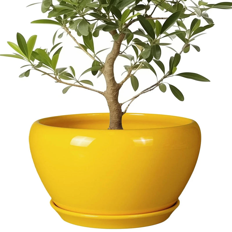 Yellow ceramic mid-century planter pot with saucer base and glossy finish