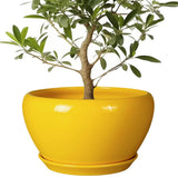 13" Mid-Century Modern Yellow Ceramic Planter Pot for Indoor Plants w/ Drainage Orchids