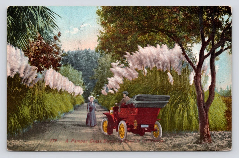 Couple Antique Car Pampas Grass Bordered Road California c1912 VTG DB Postcard Pampas Grass