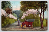 Couple Antique Car Pampas Grass Bordered Road California c1912 VTG DB Postcard Pampas Grass