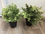 Artificial Boxwood & Eucalyptus Bush Set of 2 Green Plastic Plants DŽcor Green Plant