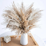 Fluffy Boho Dried Pampas Grass Vase Filler Rustic Farmhouse Home Decor Pampas Grass