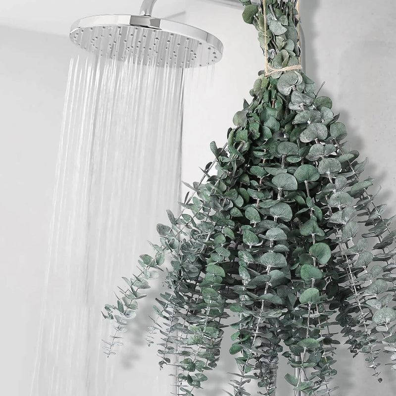 Preserved eucalyptus stems bundle with dark green leaves for shower decor